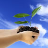 Programs & Services